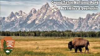 Grand Teton National Park  Best Hikes, Overlooks & Wildlife (2023)
