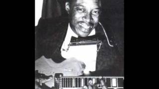 Video thumbnail of "Jimmy Reed - Good Lover  （1962）"