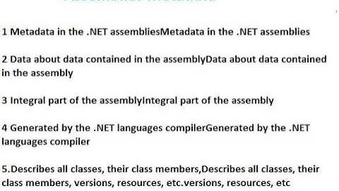 assemblies metadata in .net