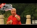 《流行无限》 20160828 螳螂拳传人 于海 | CCTV-4