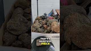 Beautiful Raw Amber!!