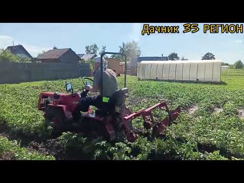 Первое окучивание 2024.