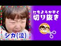 【切り抜き】奈良公園シカの寸止めアタックに大号泣|にちようかぞく名場面 #shorts