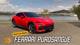 Ferrari Purosangue car review sound