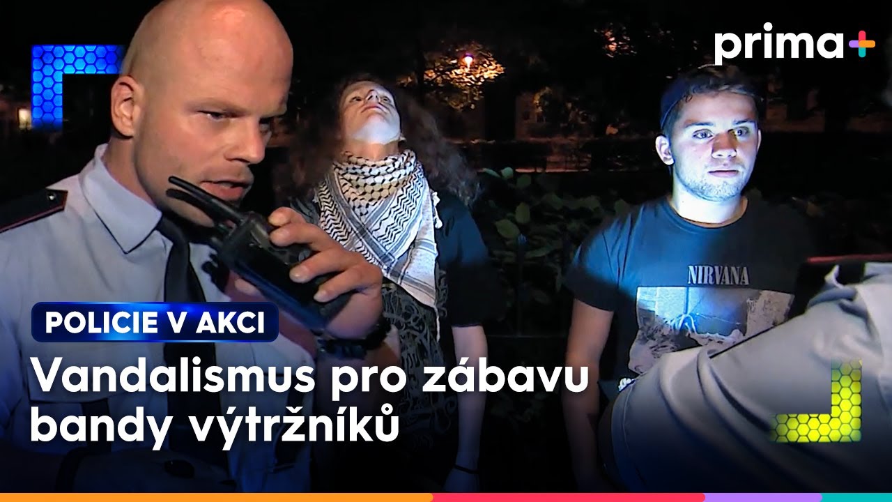 Banda výtržníků na ulici řve a demoluje zaparkovaná auta | Policie v akci