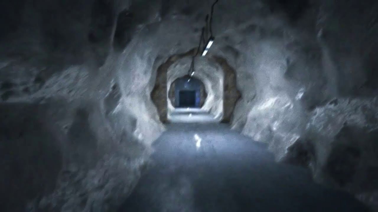 Phoenix Corporation | Analog Horror