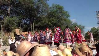 Flor de Piña - Zaachila 2012