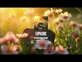 EUPHORIC | EDM | Creator Music Library - Copyright Free Music