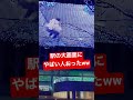 秒で笑えるww#shorts