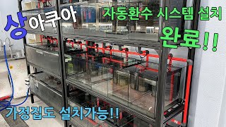 상아쿠아 자동환수 시스템 설치 완료!! (feat. 설치과정) 쉽게 환수 해봐요!!