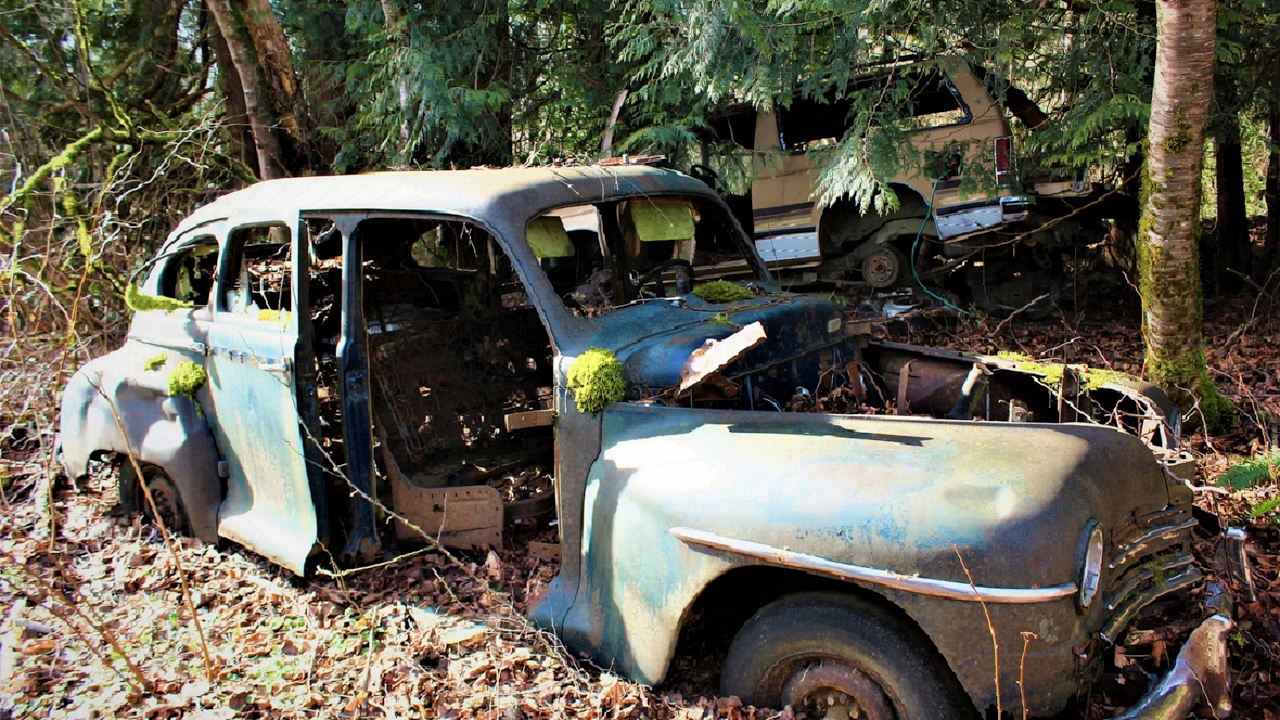 Abandoned House lost in the woods with car graveyard YouTube