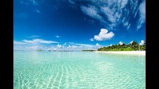 Paradise