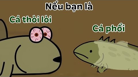 Bạn là loài cá sống không cần nước | Độc Lạ Sở Thú