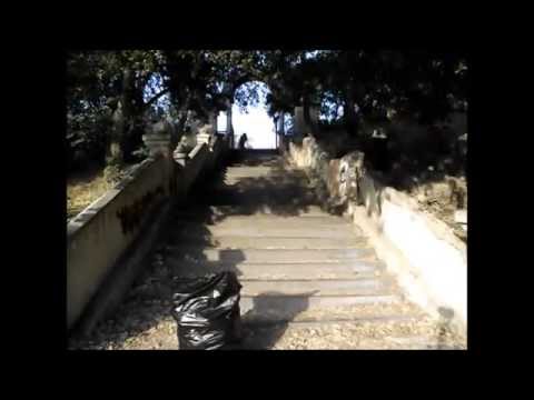 დაასუფთავე 1 მეტრის რადიუსში (რუსთავი)