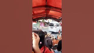Keliling alun alun kota malang naik odong odong