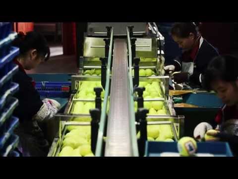 A visit to Odear Tennis manufacturer in China/ How tennis ball is made