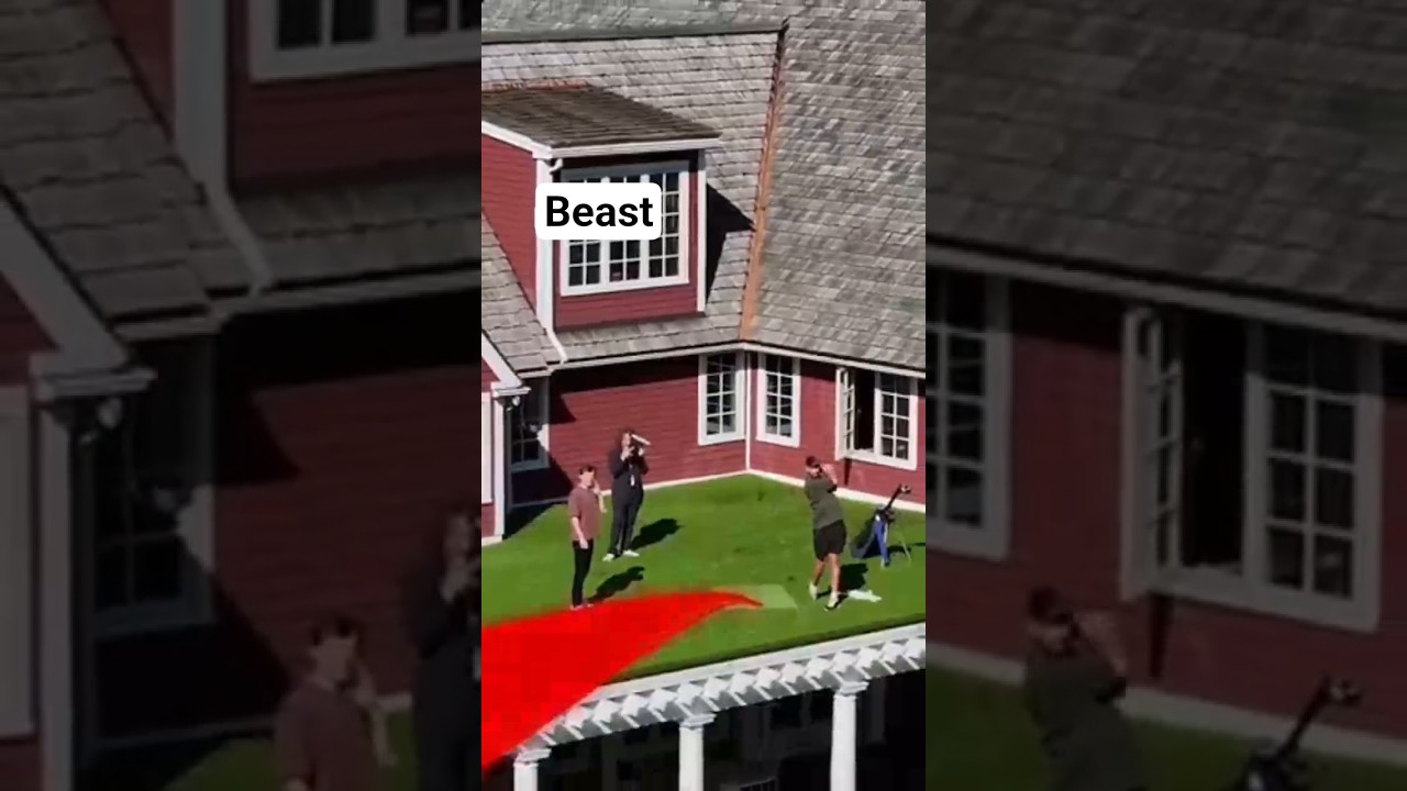 mr beast build rich house.....