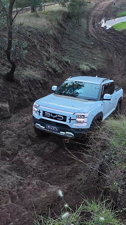 Stock BYD Shark Does Hard Hill Climb #byd #offroad #4x4 #4wd