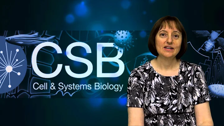 CSB Video Profiles : Undergraduate Coordinator (Ja...