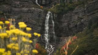 Utah Fall Colors Bridal Veil and Alpine Loop.