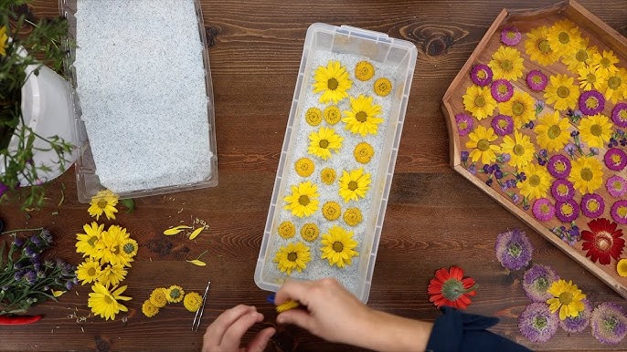 How To Dry Roses in Silica Crystals – Sustain My Craft Habit