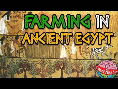 Farming in Ancient Egypt