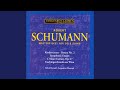 Miniature de la vidéo de la chanson Symphonic Studies, Op.13: Étude Iv