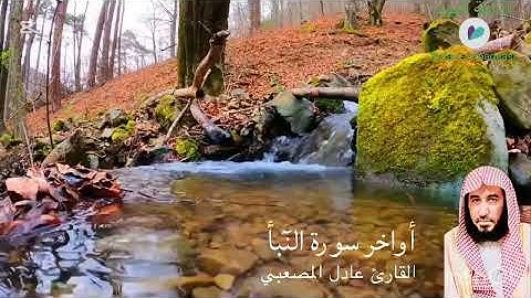 أواخر سورة النبأ القارئ عادل حسين المصعبي