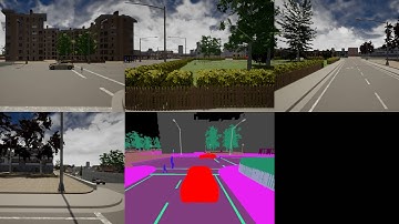 Carla sensors view demo