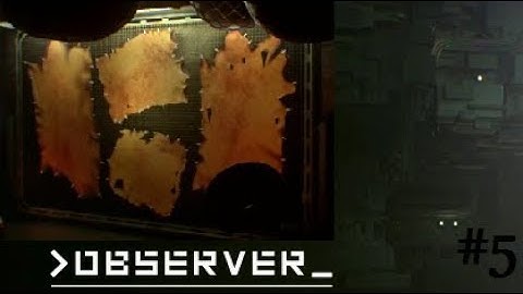 Apartment 205... ~Observer #5