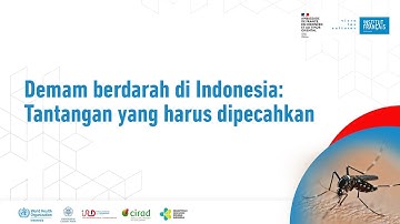 Webinar "Demam berdarah di Indonesia: Tantangan yang harus dipecahkan"