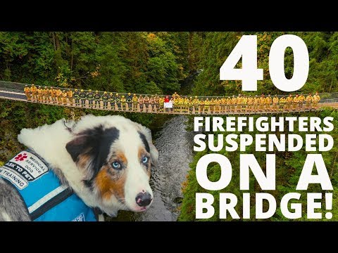 BC Professional Fire Fighters' Burn Fund commemorates 40th anniversary with over 40 fire fighters on Capilano Suspension Bridge