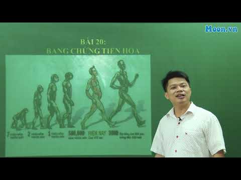 Video: Các nguồn khác nhau của bằng chứng cho sự tiến hóa là gì?