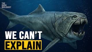 Why Evolution Abandoned Armor