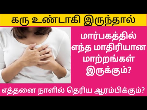 மாதவிடாய் குறைவதற்கு முன் கர்ப்ப காலத்தில் ஏற்படும் மார்பக மாற்றங்கள் | தமிழில் ஆரம்பகால கர்ப்ப அறிகுறிகள்