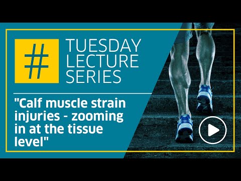 Calf muscle strain injuries - zooming in at the tissue level- by Prof Craig Purdam