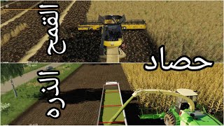 Wheat and corn harvest/حصاد القمح والذره الحلقه 2 من محاكي الزراعة. Farming simulator 2019