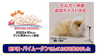 10月放送開始『PUI PUI モルカー DRIVING SCHOOL』追加キャスト解禁動画