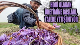 Hobi olarak üretimine başladığı safran soğanı talebine yetişemiyor! (Detaylar açıklamada)