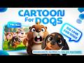 All Day Cartoons for Dogs 🐾 | Gentle Relaxation Music for Dogs Left at Home | Ultimate Dog TV