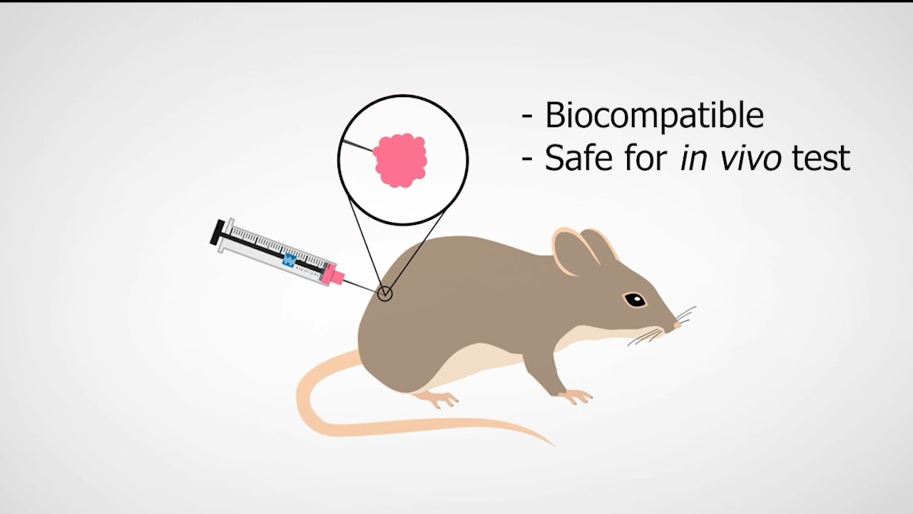 VitroGel®, a xeno-free biocompatible hydrogel for in vivo injection/xenograft.