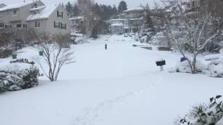 Snowmaggedon in Portland