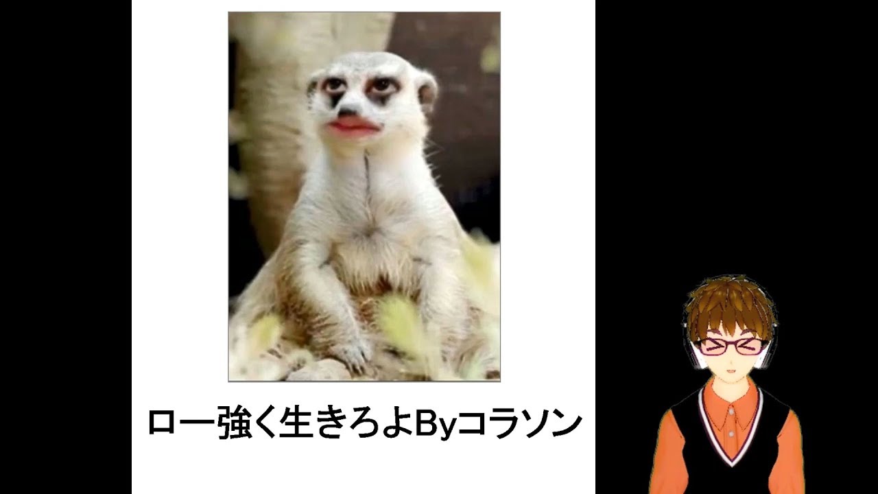 ワンピース好きにしか伝わらない ボケてまとめ 3 Youtube