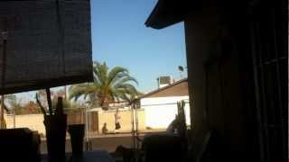 Crackhead Dancing In Phoenix Arizona