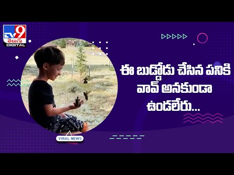 Viral : ఈ బుడ్డోడు చేసిన పనికి వావ్‌ అనకుండా ఉండలేరు - TV9 Digital