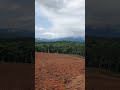 #nature