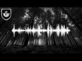 4 Mysteriously Bizarre Audio Recordings