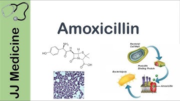 Amoxicillin | Bacterial Targets, Mechanism of Action, Adverse Effects | Antibiotic Lesson