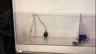 Loraffe Ultrasonic/Strobe Rodent Repellent in Action