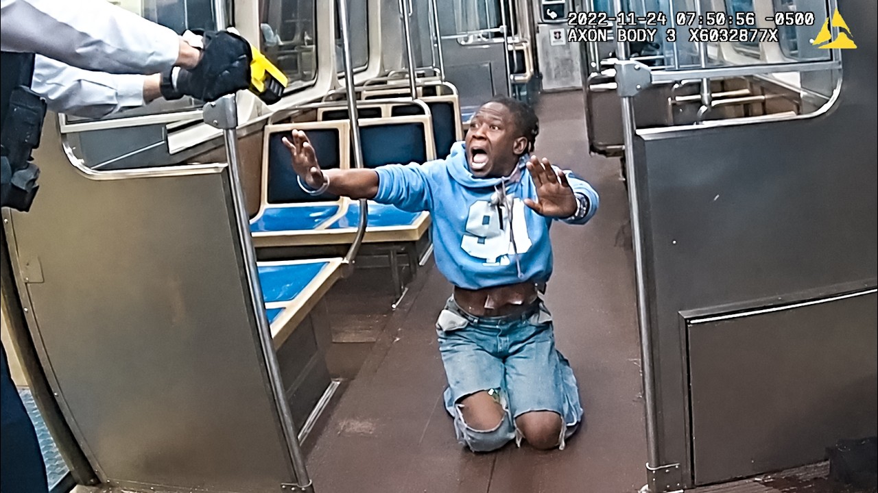 Woman Refuses to Leave Train, Gets Tased & Dragged Out